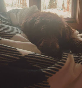 Meet your Posher, Maggie